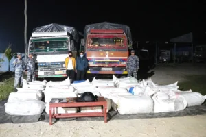 एक हजार ६ सय किलो गाँजासहित दुईजना पक्राउ